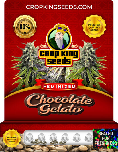 Chocolate Gelato Strain