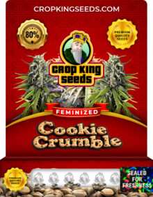 Cookie Crumble Strain