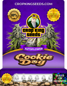 Cookie Dog Strain