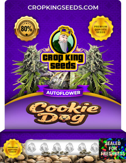 Cookie Dog Strain
