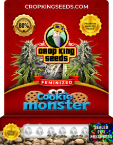 Cookie Monster Strain