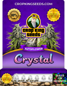 Crystal Autoflower Marijuana Seeds
