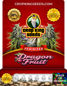 Dragon Fruit Strain
