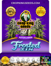 Frosted Zin Strain