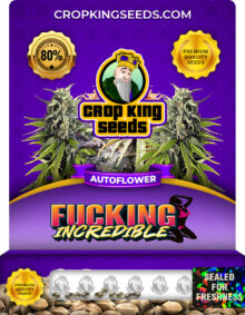 Fucking Incredible Strain