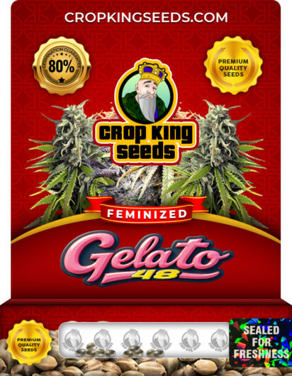 Gelato 48 Strain