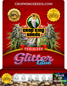 Glitter Glue Strain