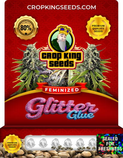 Glitter Glue Strain