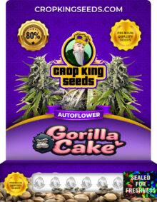 Gorilla Cake Strain