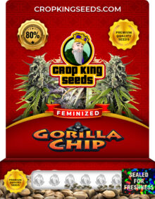 Gorilla Chip Strain