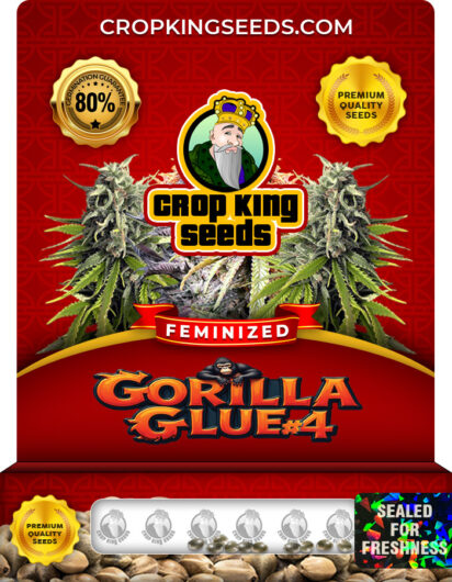 Gorilla Glue #4 Strain