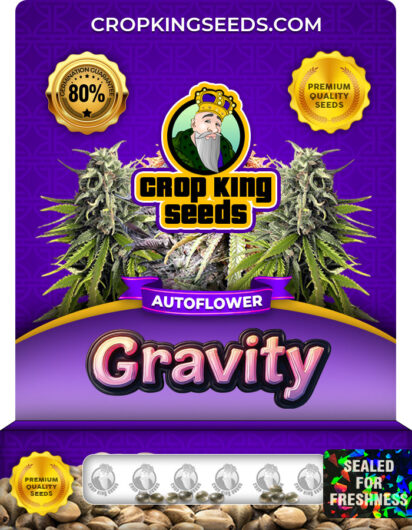 Gravity Strain