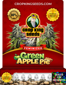 Green Apple Pie Strain
