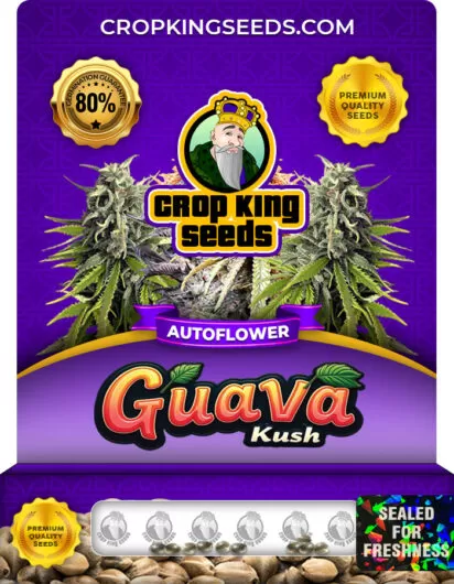 Guava Kush