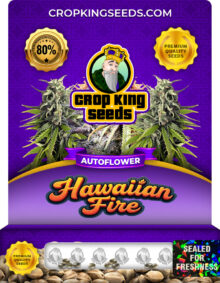 Hawaiian Fire Strain