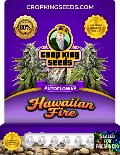 Hawaiian Fire Strain