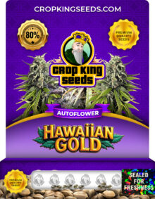 Hawaiian Gold Strain