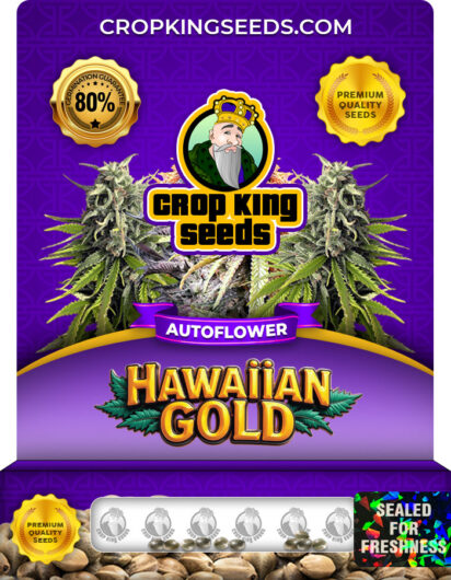 Hawaiian Gold Strain