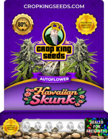 Hawaiian Skunk Strain
