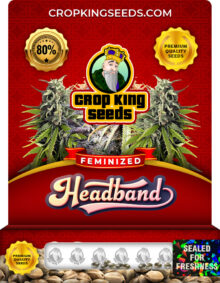 Headband Strain