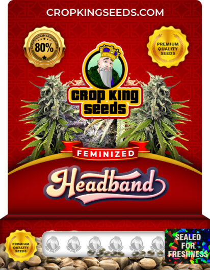 Headband Strain