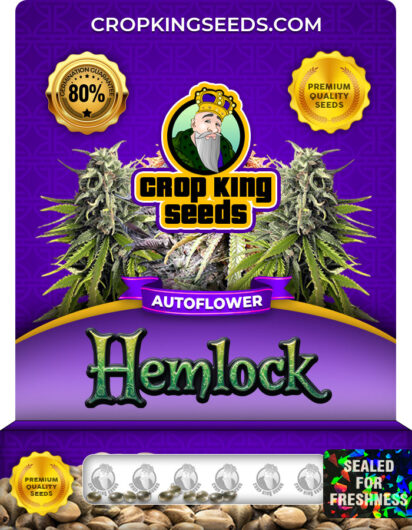 Hemlock Strain