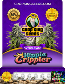 Hippie Crippler Strain