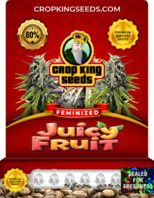 Juicy Fruit Feminized Marijuana Seeds