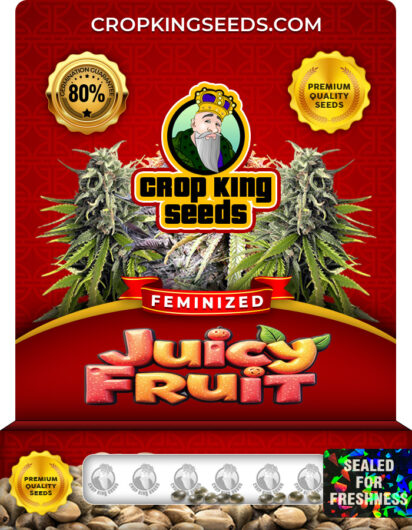 Juicy Fruit Strain