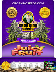 Juicy Fruit Autoflower Marijuana Seeds