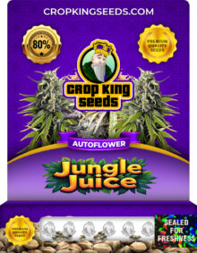 Jungle Juice Strain