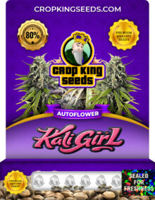Kali Girl Strain