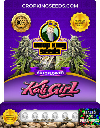 Kali Girl Strain