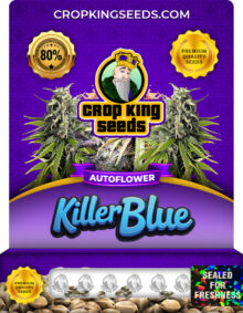 Killer Blue Strain