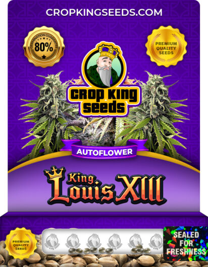 King Louis XIII Strain