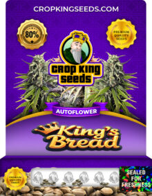 King’s Bread Strain
