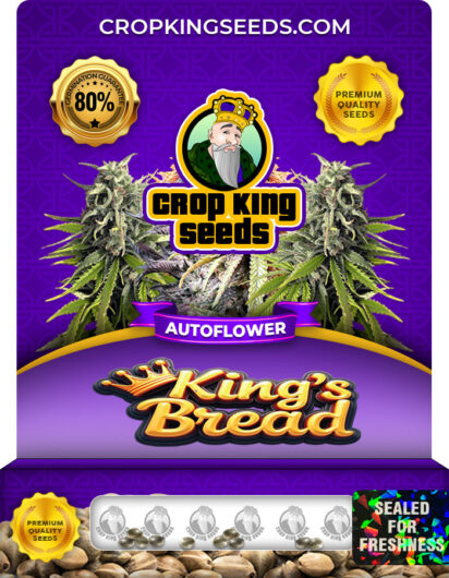 King’s Bread Strain