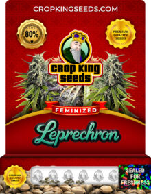 Leprechron Strain