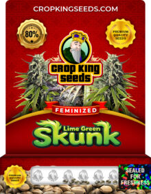 Lime Green Skunk Strain