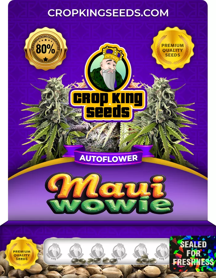 Maui Wowie Autoflower Marijuana Seeds | Crop King Seeds