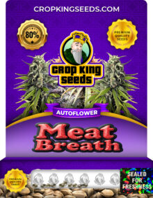 Meat Breath Strain