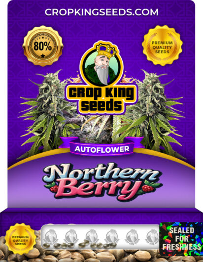Northern Berry Strain