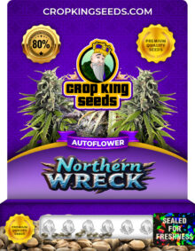 Northern Wreck Strain