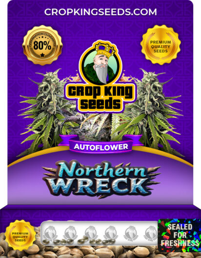 Northern Wreck Strain