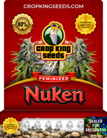 Nuken Strain