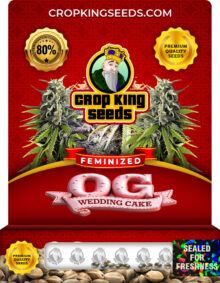 OG Wedding Cake Strain