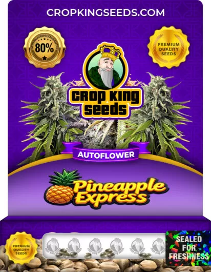 Pineapple Express Strain