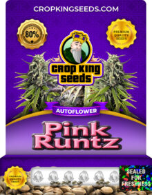 Pink Runtz Strain