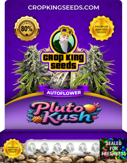 Pluto Kush