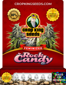 Rock Candy Strain